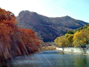 新澳天天开奖资料大全旅游团，钢塑格栅